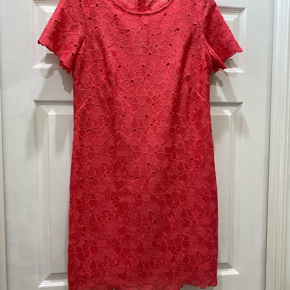 New without tag beautiful Coral Calvin Klein lace sheath dress